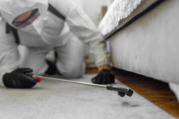 Professional Bed Bug Control technician working in Edgewood, TX